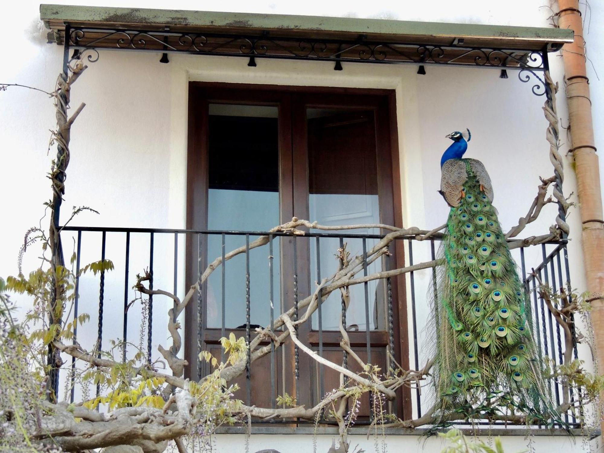 Agriturismo U Zu Peppino Đảo Lipari Ngoại thất bức ảnh