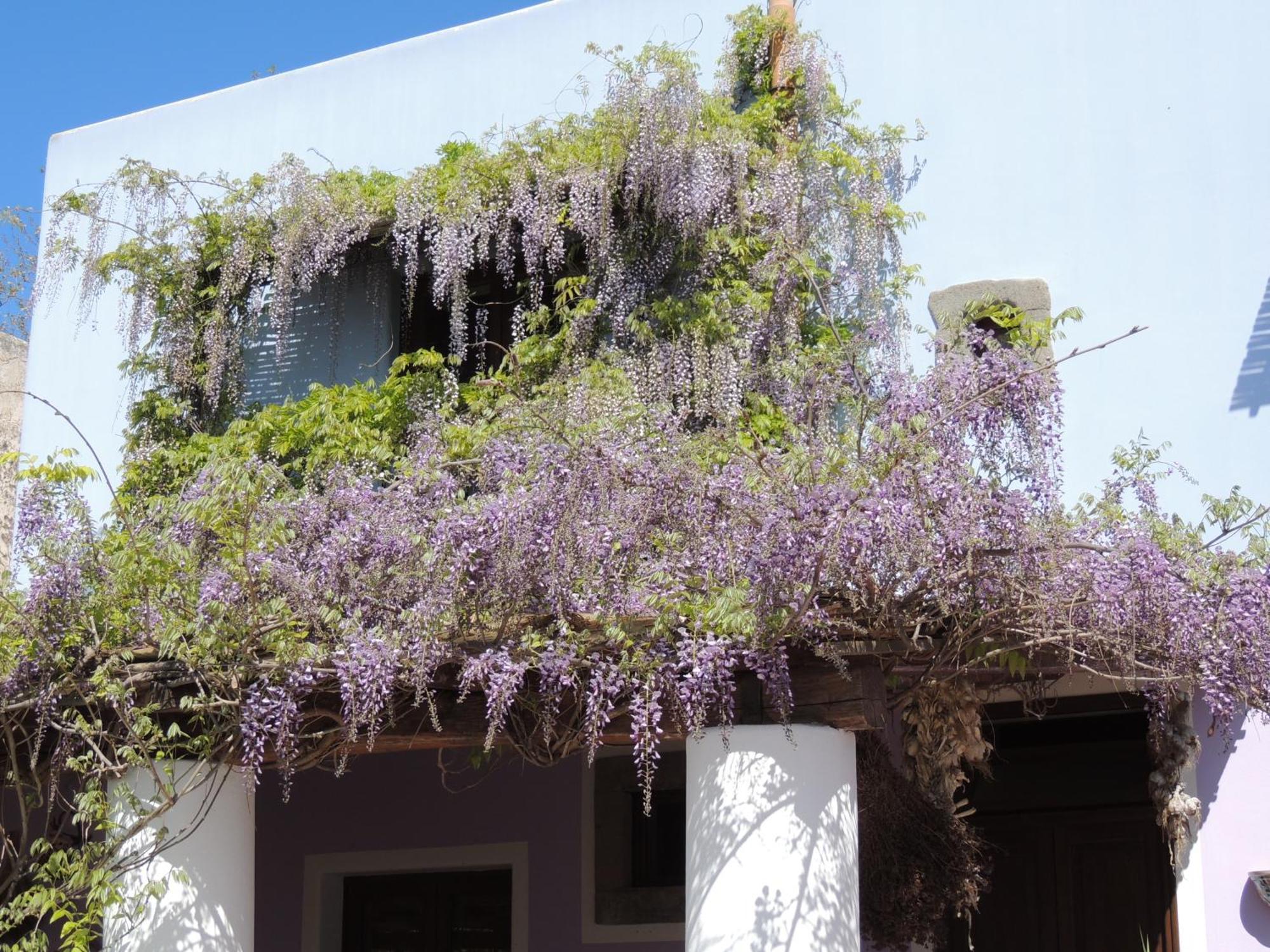 Agriturismo U Zu Peppino Đảo Lipari Ngoại thất bức ảnh